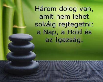 1779959_738479359504054_1019142711_n