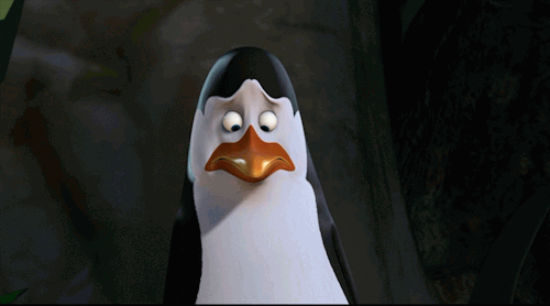 madagaszkar-pingvinjei-gifek-2