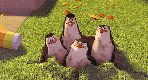 madagaszkar-pingvinjei-gifek-3