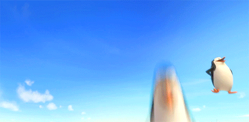 madagaszkar-pingvinjei-gifek-4