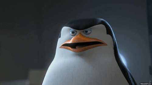 madagaszkar-pingvinjei-gifek-7