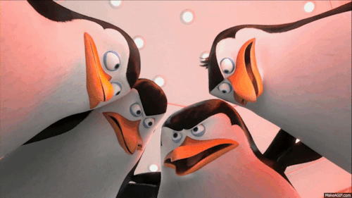 madagaszkar-pingvinjei-gifek-8