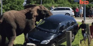 bandicam 2015-07-20 15-28-15-441