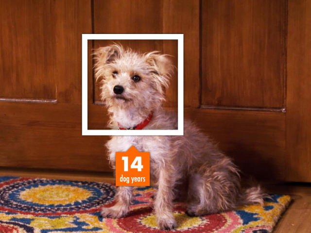 how-old-is-it-image-04