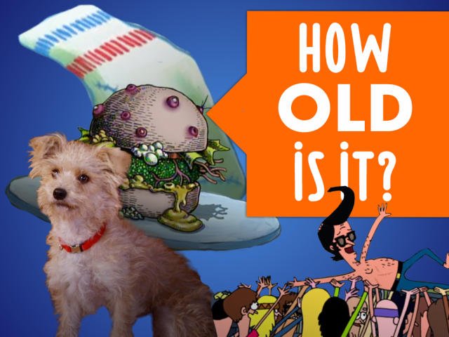 how-old-is-it-promo-4x3